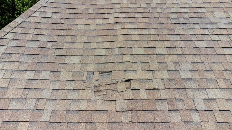 Asphalt Roof Inspection in Monument, CO