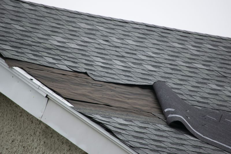 Asphalt Shingles Repair in Elbert, CO