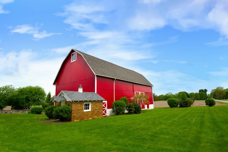 Barn Roof Construction in Peyton, CO