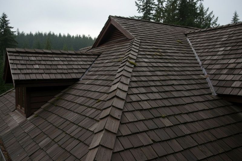 Cedar Shake Roof Replacement in Peyton, CO