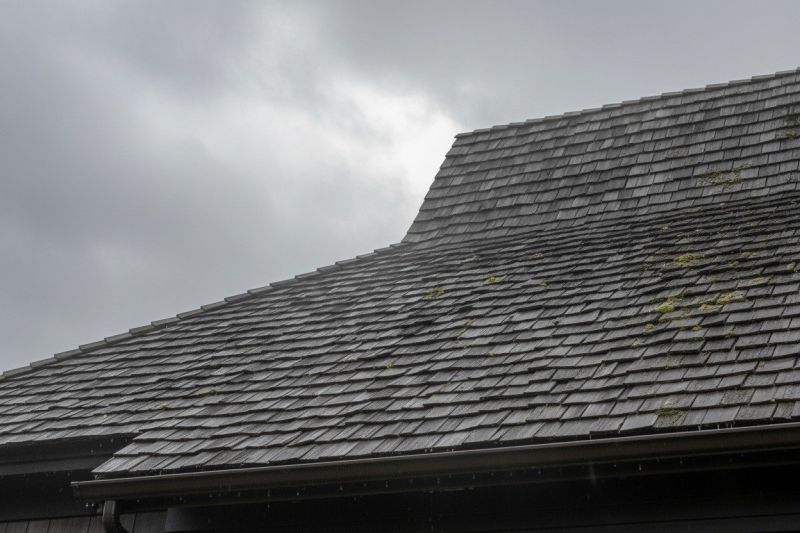 Cedar Shingles Replacement in El Paso County, CO