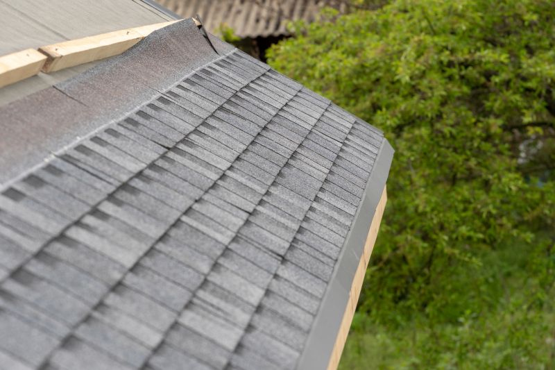 Damaged Roof Repair in Elbert, CO