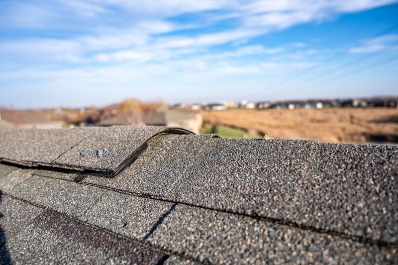 Damaged Roof Repair in Kiowa, CO