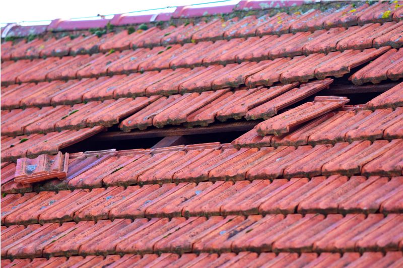 Roof Damage Inspection in Colorado Springs, CO