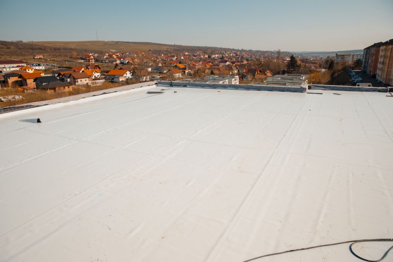 Rubber Roof Repair in El Paso County, CO