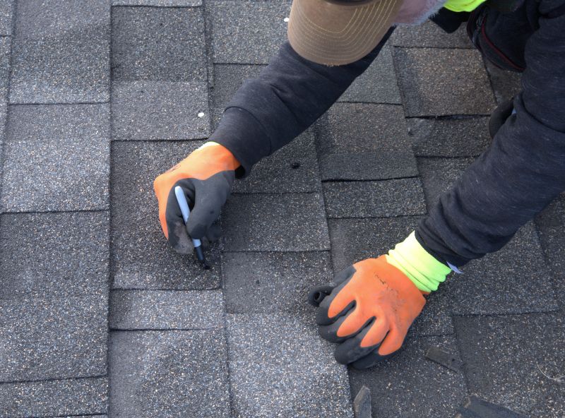 Shingles Repair in Monument, CO
